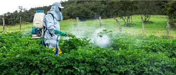 Chemical Pesticides