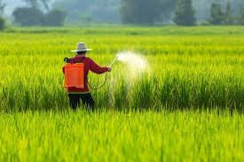 Insecticides